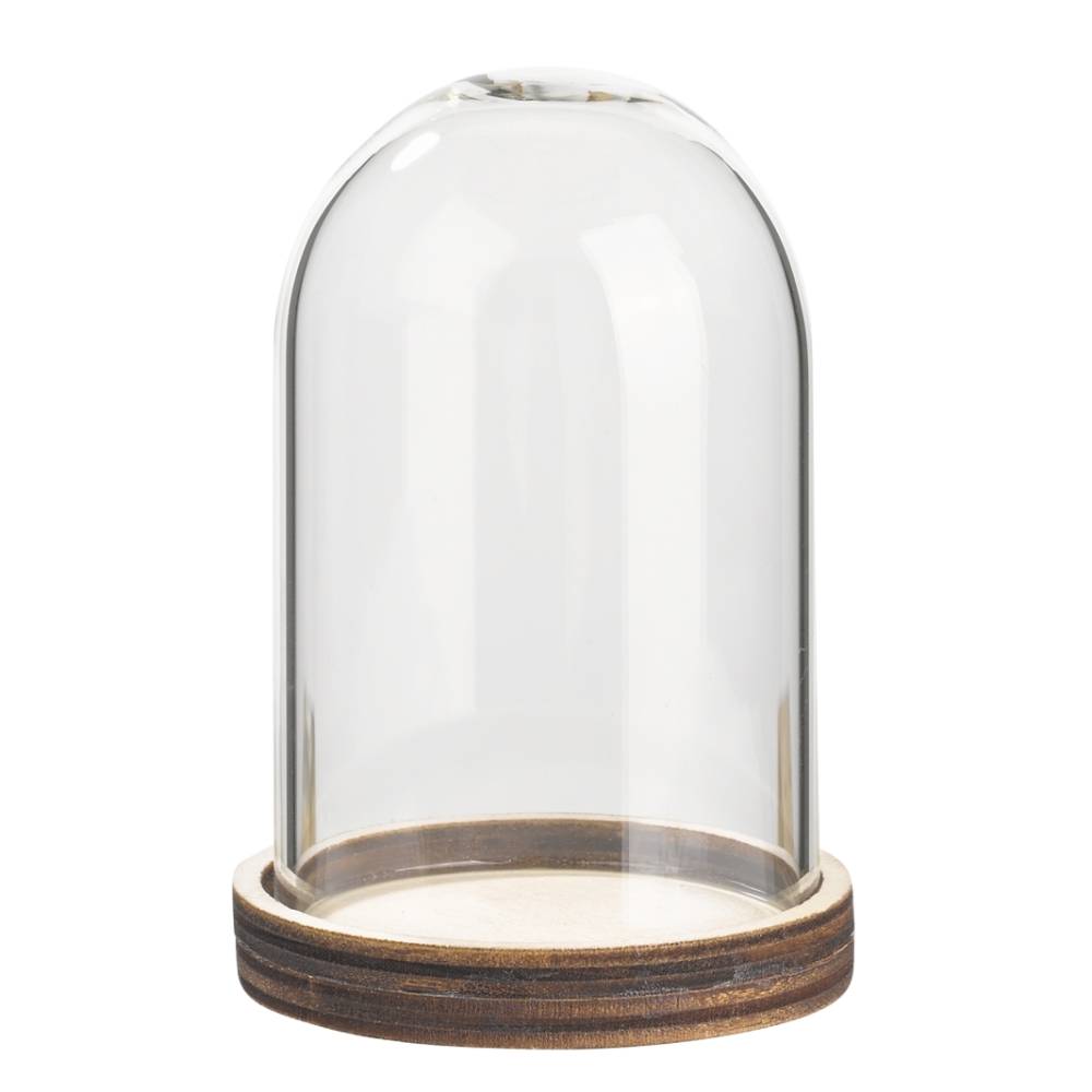 Glas-Glocke mit Holzboden