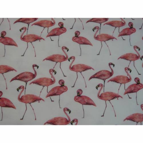 15,00 EUR/m Jersey Baumwolljersey Flamingo auf weiß