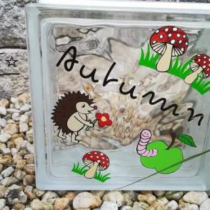 Bild 9