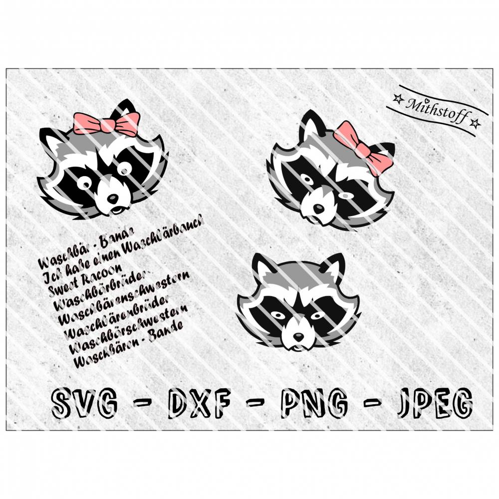 SVG - PNG - DXF - Datei - Waschbär - Plotterdatei - Racoon Bild 1