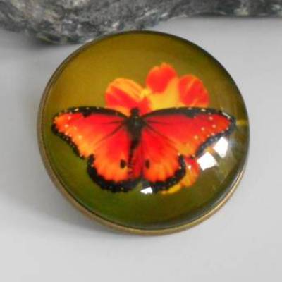 Schmetterling runde   Brosche 30 mm  Glascabochon bronze