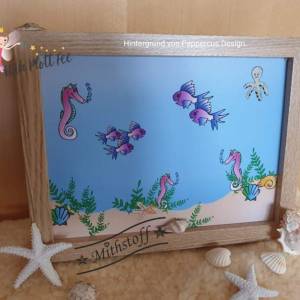 Bild 7