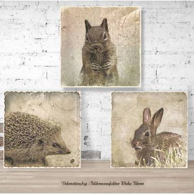 3er Set WALDTIERE OLD STYLE Bild auf Leinwand Holz Print Landhausstil Vintage Style Shabby Chic Igel Hase Eichkätzchen
