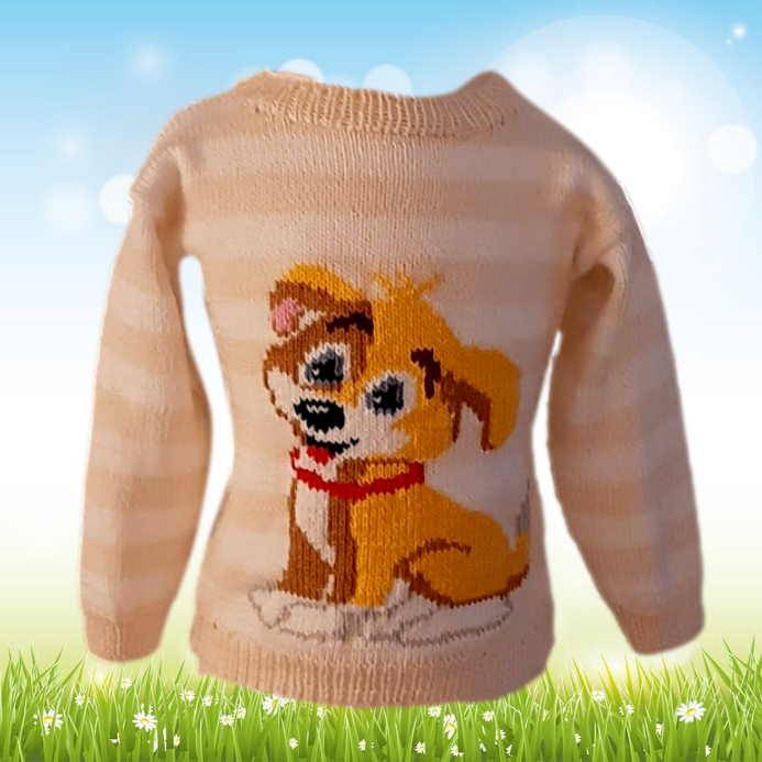 Strickanleitung Pullover Hund in 2 Größen Bild 1