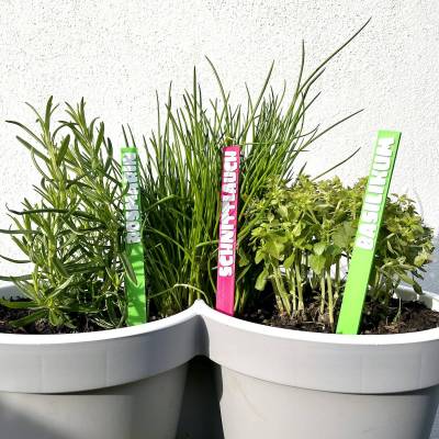 5x 3D-Kräuter & Gemüse Stecker Set