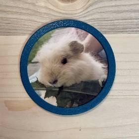 3D-Foto Klettie mini „Rund“ für Schulranzen (z.B. ergobag)