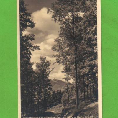 AK - Waldpartie bei Altenhundem mit Blick auf Hohe Bracht - ca. 1930