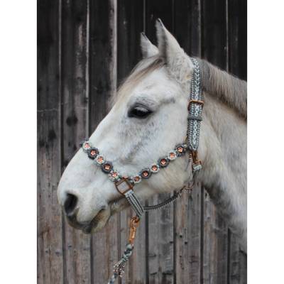 Tolles Pferde-Halfter mit Strick Größe Warmblut aus dem Hause Knotenwerke Paracord