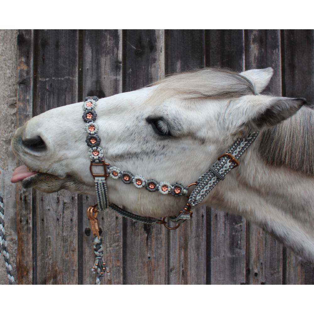 Tolles Pferde-Halfter mit Strick Gre Warmblut aus dem Hause Knotenwerke  Paracord