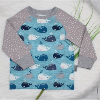 Pullover | Wal | Babywal | Dots | Langarmshirt | Longsleeve | Kindershirt | Raglanshirt | blau | hellgrau