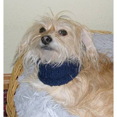 Hundeschal, Hunde-Loop & Halskrause – Maßgestrickter Halswärmer für Hunde, Katzen und andere Haustiere