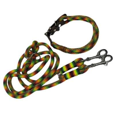 Leine Halsband Set verstellbar, grün, rot, orange, gelb, Edelstahl, Wunschlänge