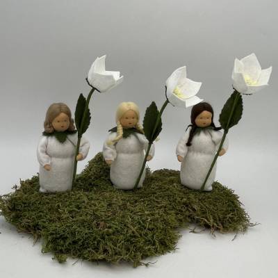 Christrose - Jahreszeitentisch  - Winter - Blumenkinder - Weihnachtsdeko