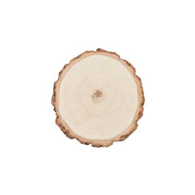 Holzscheibe klein 9-12 cm