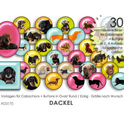 DACKEL Hunde 30 Cabochonvorlagen Cabochon Vorlagen digital Download Buttonvorlagen Bilder für Schmuck Cabochon