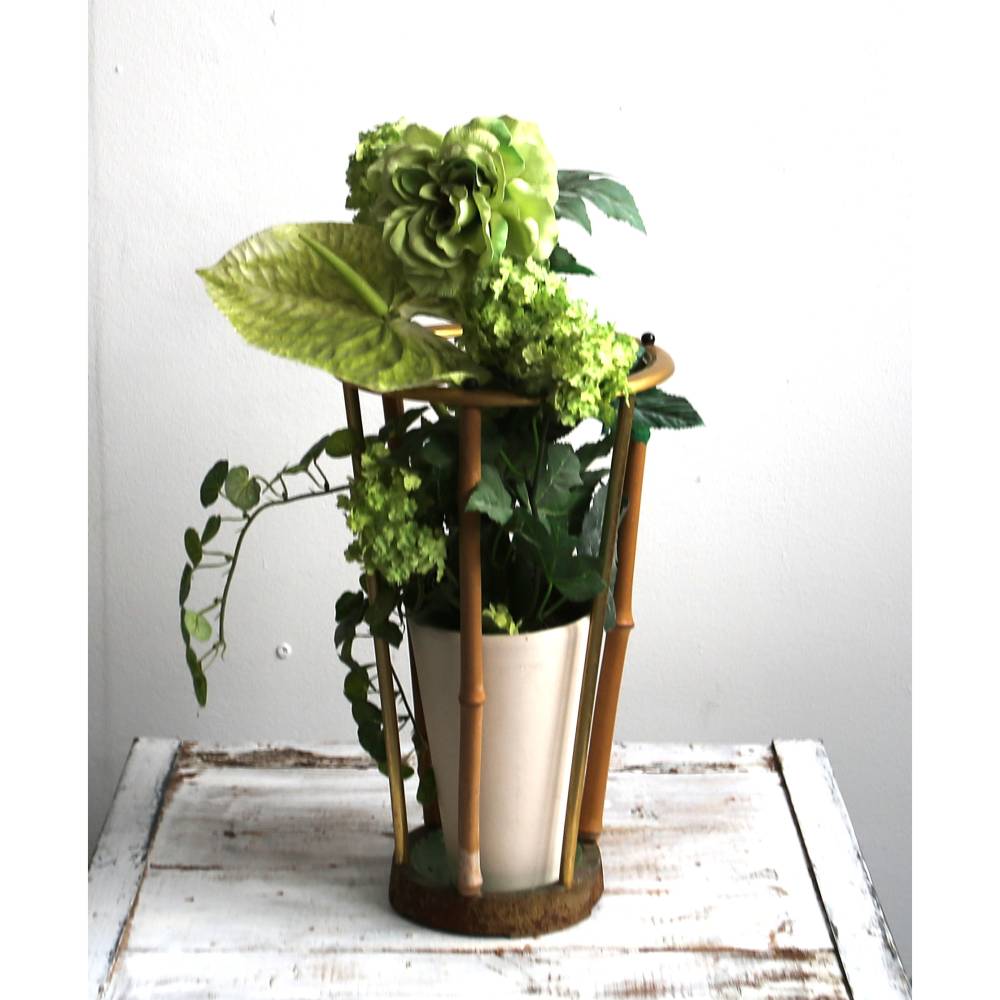 calathea burle maxi Calathea Burle Marxii 'Fishbone Prayer' – KOKECUTES main image 0