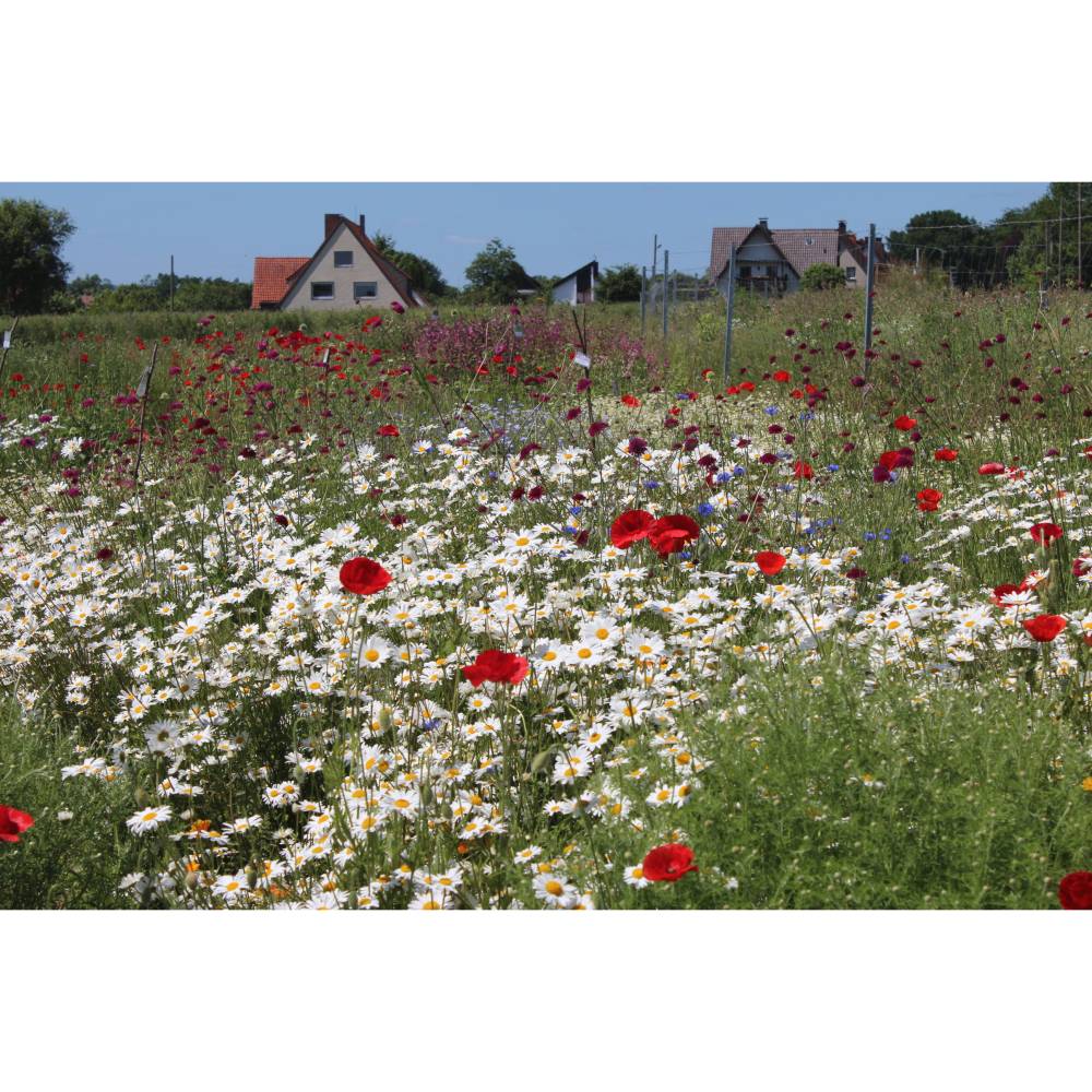 gladiolen knstlich FORISTA Kunstblume Gladiolen