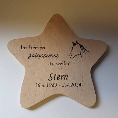 Erinnerung an verstorbenes Haustier | Andenken an Hund | Trauergeschenk Pferd | Trauer um Katze | Stern mit Pfoten
