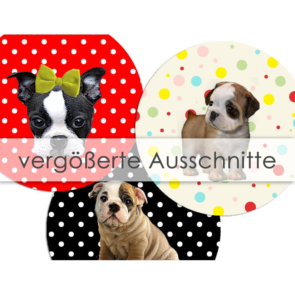 BULLDOGGEN MÖPSE 30 Cabochonvorlagen Cabochon Vorlagen digital Download Buttonvorlagen Bilder für Schmuck Cabochon Bild 4