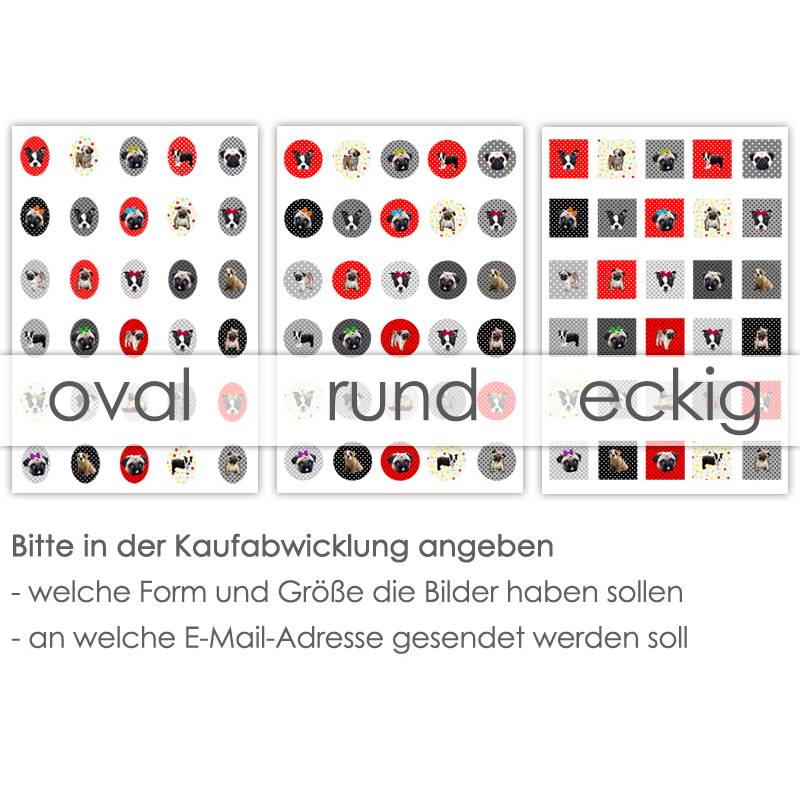 BULLDOGGEN MÖPSE 30 Cabochonvorlagen Cabochon Vorlagen digital Download Buttonvorlagen Bilder für Schmuck Cabochon Bild 5