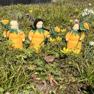 Winterling - Jahreszeitentisch  - Frühling - Blumenkinder - Frühling