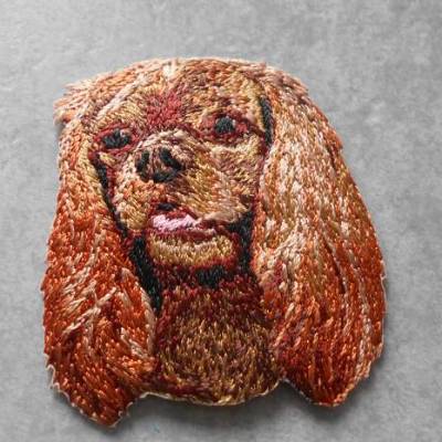 Cavalier King Spaniel Patch zum Aufbügeln – Gestickter Hunde-Aufnäher für Kleidung & Accessoires