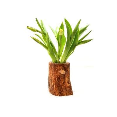 Vase Valentina aus Olivenholz mit Einsatz