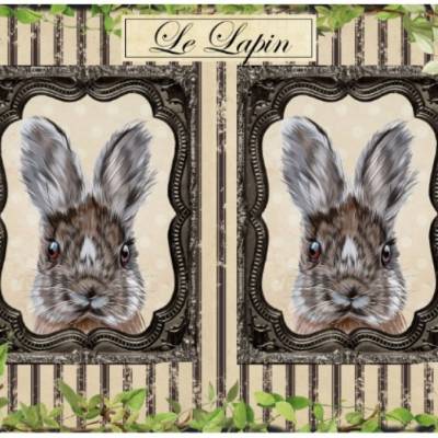 Bastelpapier - Decoupage-Papier - A4 - Softpapier - Vintage - Shabby - Le Lapin - Hase - Ostern - 12994