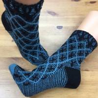 Bild 7