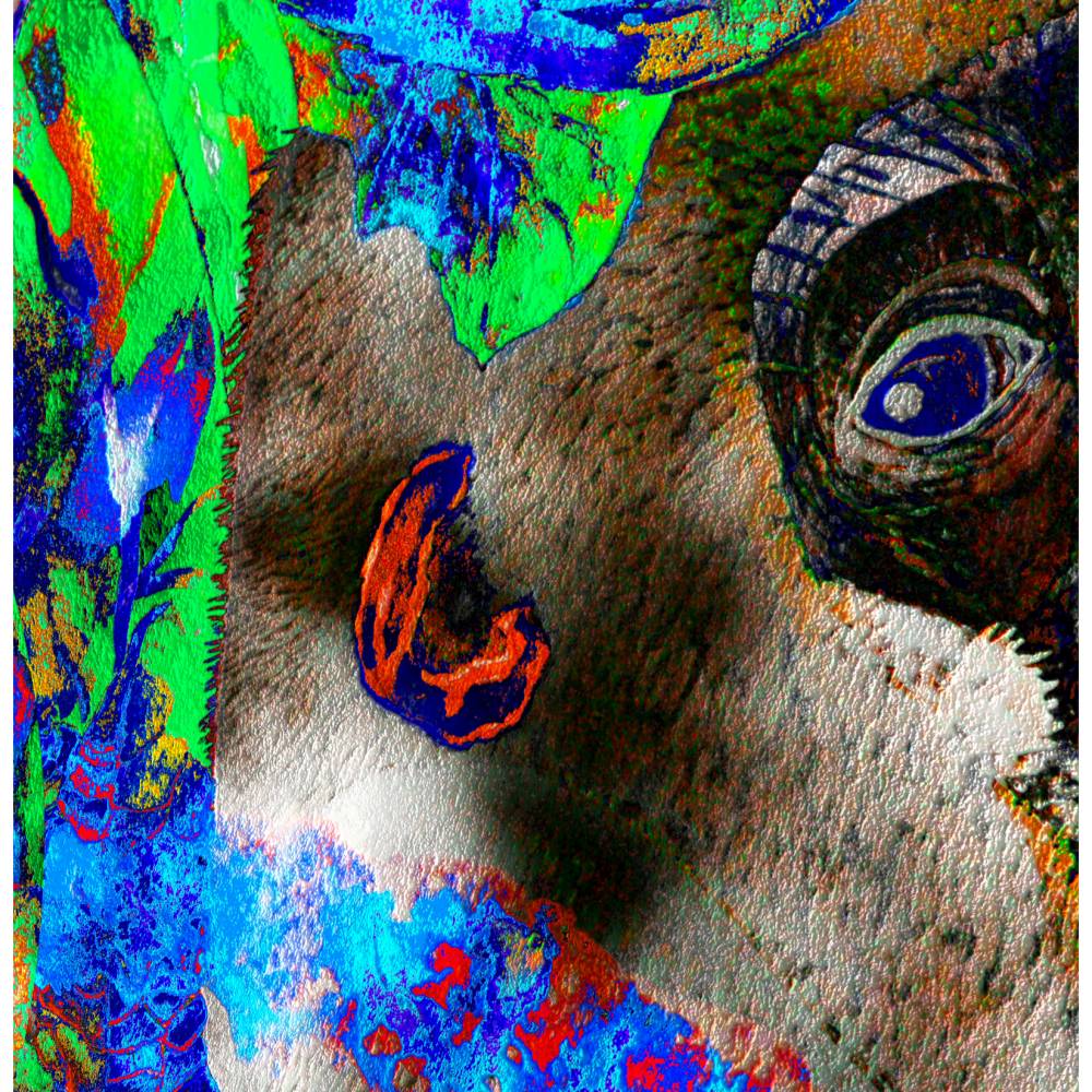 Klebefolie - edle Digital-ART • "Dschungel - Impressionen" • Design  Ulrike Kröll Bild 3