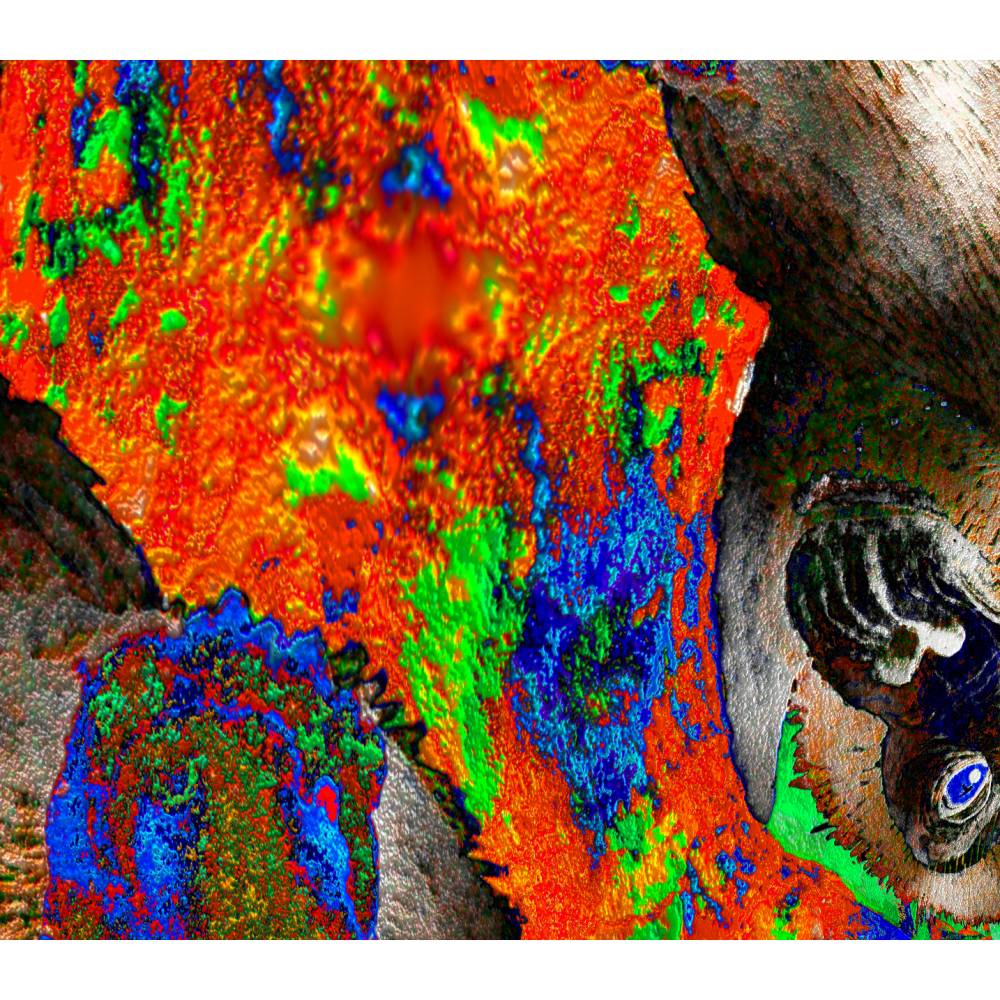 Klebefolie - edle Digital-ART • "Dschungel - Impressionen" • Design  Ulrike Kröll Bild 4