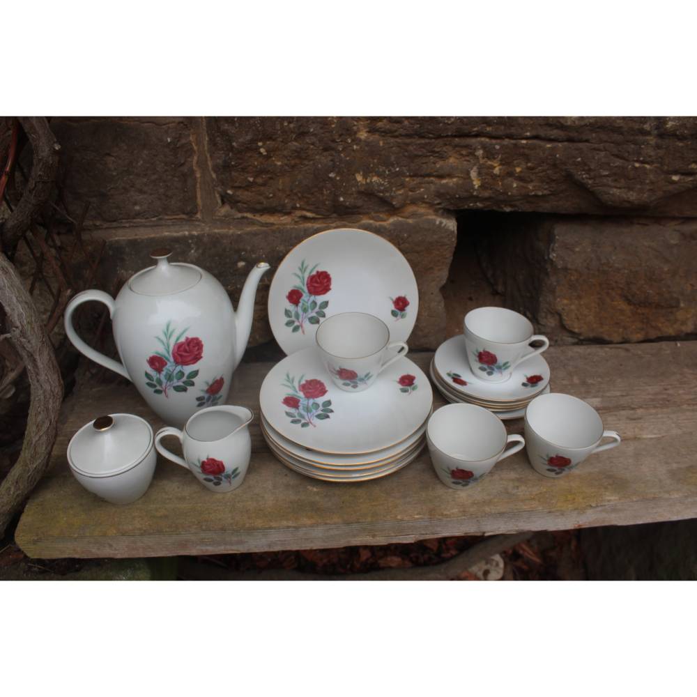 pflanzen kübel terrasse Kübelbepflanzung - für die Kübelbepflanzung als Sichtschutz ob Immergrün oder Laubabwerfend Variante:6er Set – Mix (Small + Large)