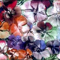 Klebefolie - Malerei • "Sommerblüten" • Design  Ulrike Kröll