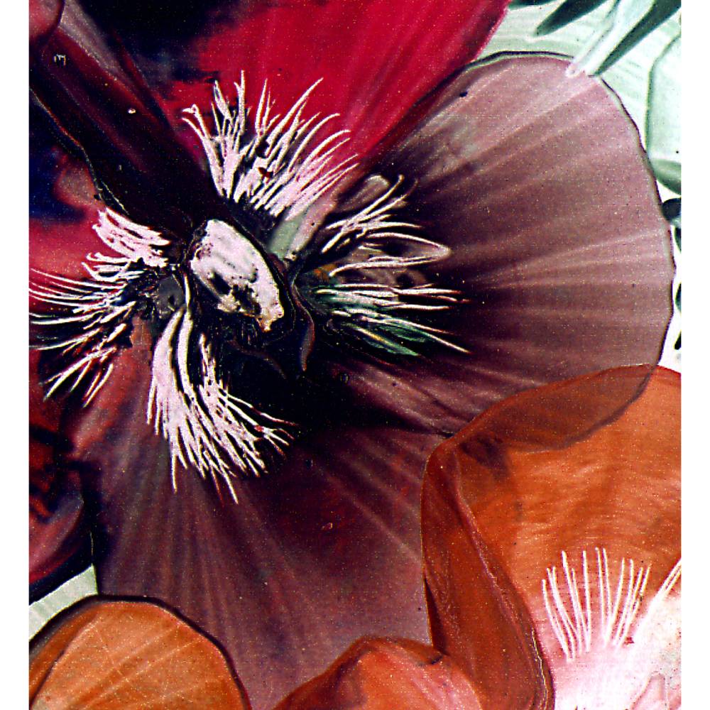 Klebefolie - Malerei • "Sommerblüten" • Design  Ulrike Kröll Bild 3