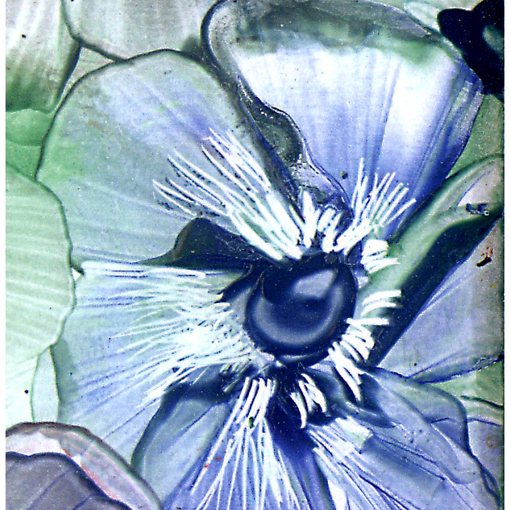 Klebefolie - Malerei • "Sommerblüten" • Design  Ulrike Kröll Bild 6