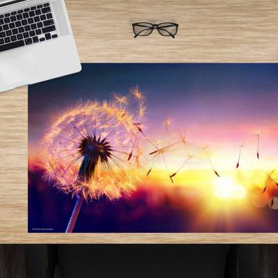 Schreibtischunterlage – Pusteblume im Sonnenlicht– 60 x 40 cm – Schreibunterlage für Kinder aus Premium Vinyl – Made in