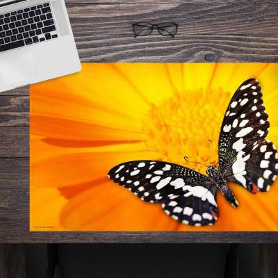 Schreibtischunterlage für Kinder – Schwarz-Weißer Schmetterling – 60 x 40 cm – aus Premium Vinyl - Made in Germany!
