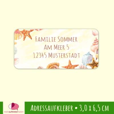 24 Adressaufkleber | Muscheln Seestern - eckig 3,0 x 6,5 cm