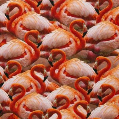 Deko Druck Leinenoptik Tiffi  Flamingos, koralle (1m /11,00€)