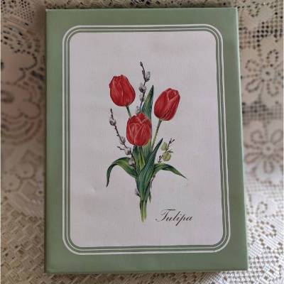 Tolle alte Pappschachtel mit Tulpen - nachhaltige Geschenkverpackung