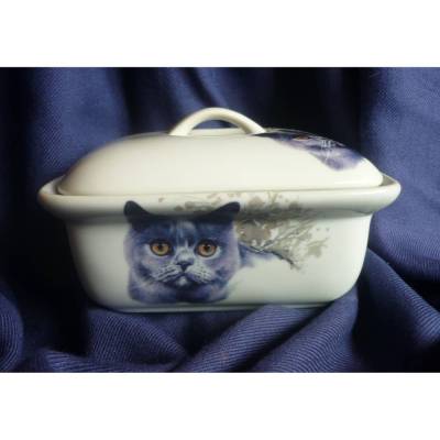 Butterdose mit Kartäuserkatze