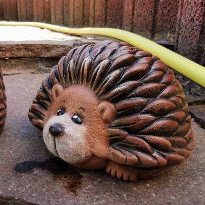 Süsser Igel liegend