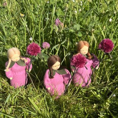 Rotklee/Wiesenklee-  Jahreszeitentisch - Blumenkind - Sommer