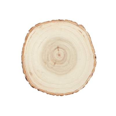 Holzscheibe Pappelholz 16-19cm