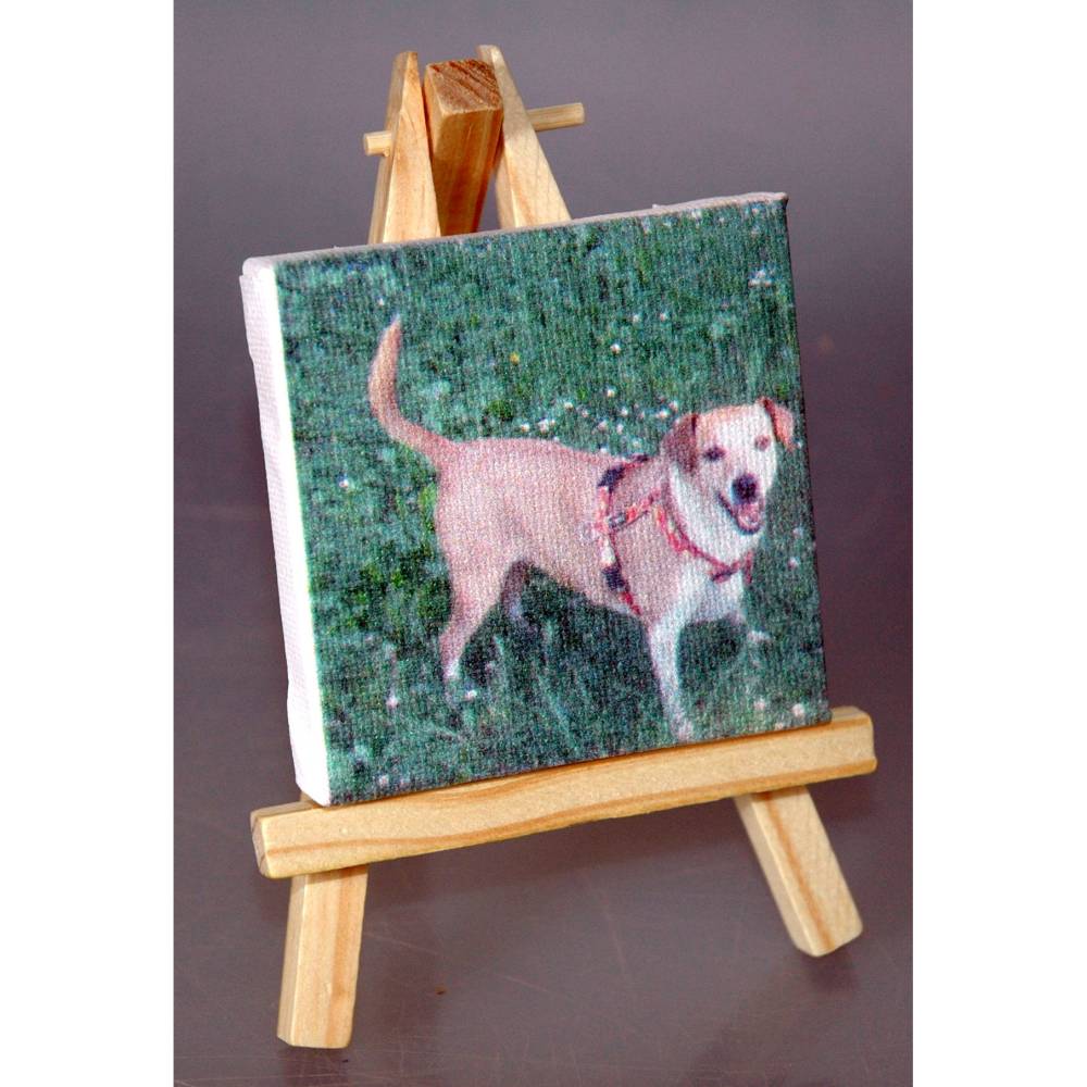 Mini Leinwand selber gestalten mit eigenem Motiv; Farbdruck Gemälde Bild Staffelei DIY individuelles Geschenk Tisch Deko