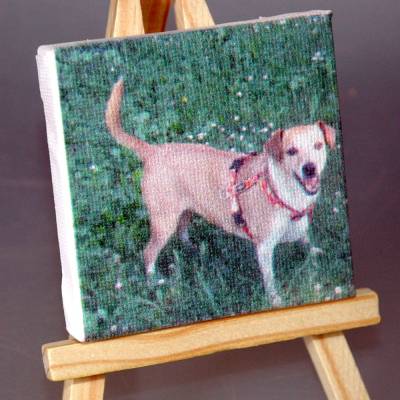 Mini Leinwand selber gestalten mit eigenem Motiv; Farbdruck Gemälde Bild Staffelei DIY individuelles Geschenk Tisch Deko