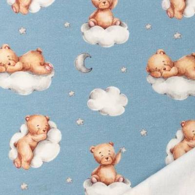 French Terry, Digital Druck Bär Teddy angeraut Wolkenblau Oeko-Tex Standard 100(1m/16,-€)