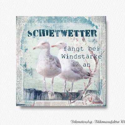 SCHIETWETTER Maritimes Wandbild Möwen mit lustigem Spruch auf Holz, Leinwand, Print, Wanddeko im Shabby Landhausstil