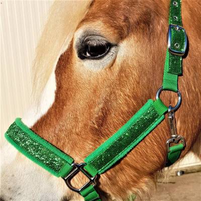 Halfter Vollblut / Cob "Oberon" personalisierbar Pferdehalfter Glitzer Größe Vollblut / Cob grün