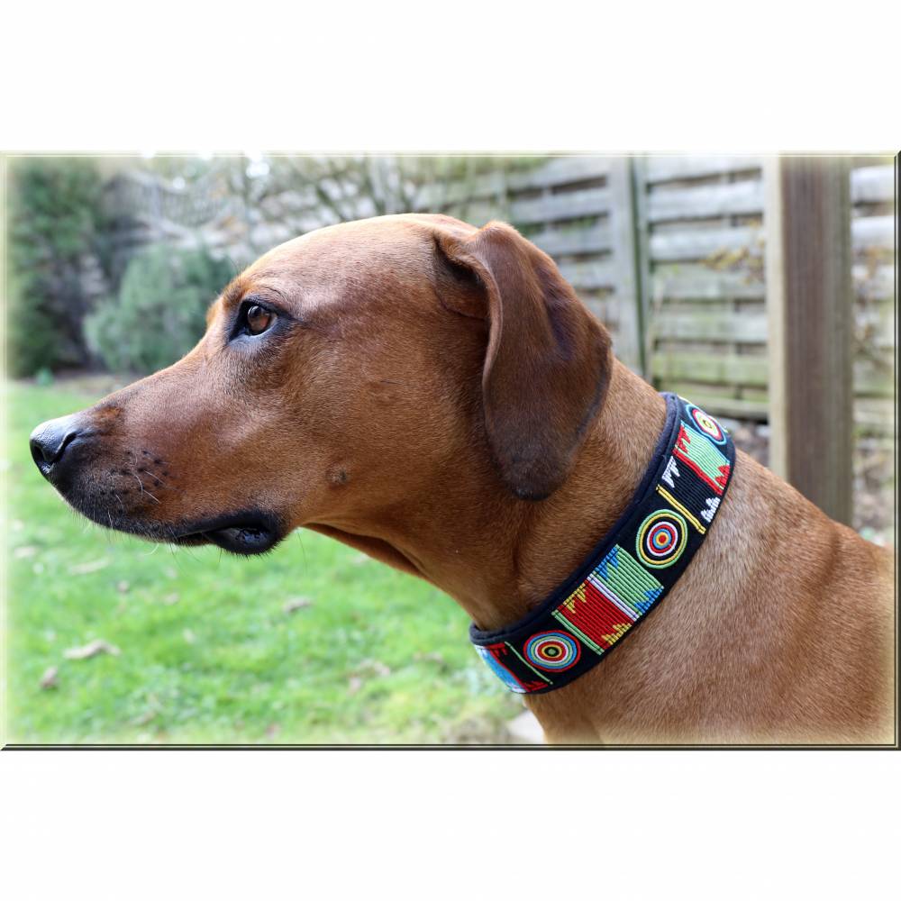 halsband und leine für hunde Halsband & Leinen Set Rosé | Nylon & Roségold main image 0